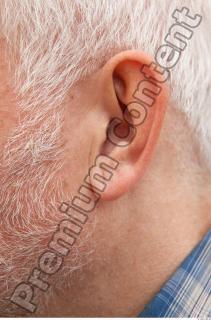 Ear texture of street references 369 0001